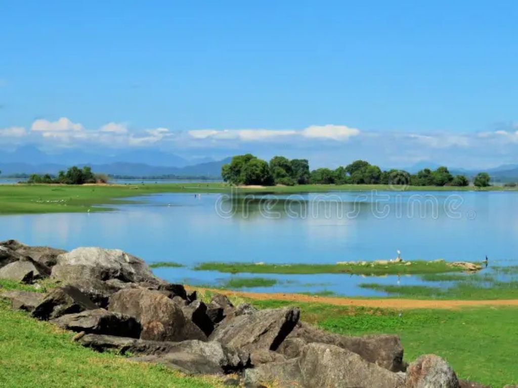 Tranquil lakeside surroundings